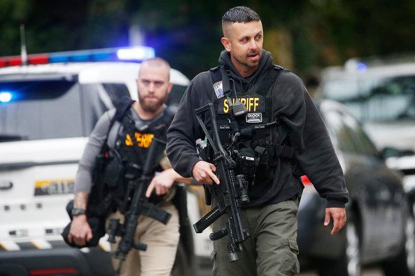 War on Domestic Terror