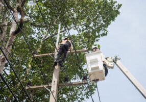 ALPR crew carrying out maintenance and repairs to equipment on site during ALPR implementation